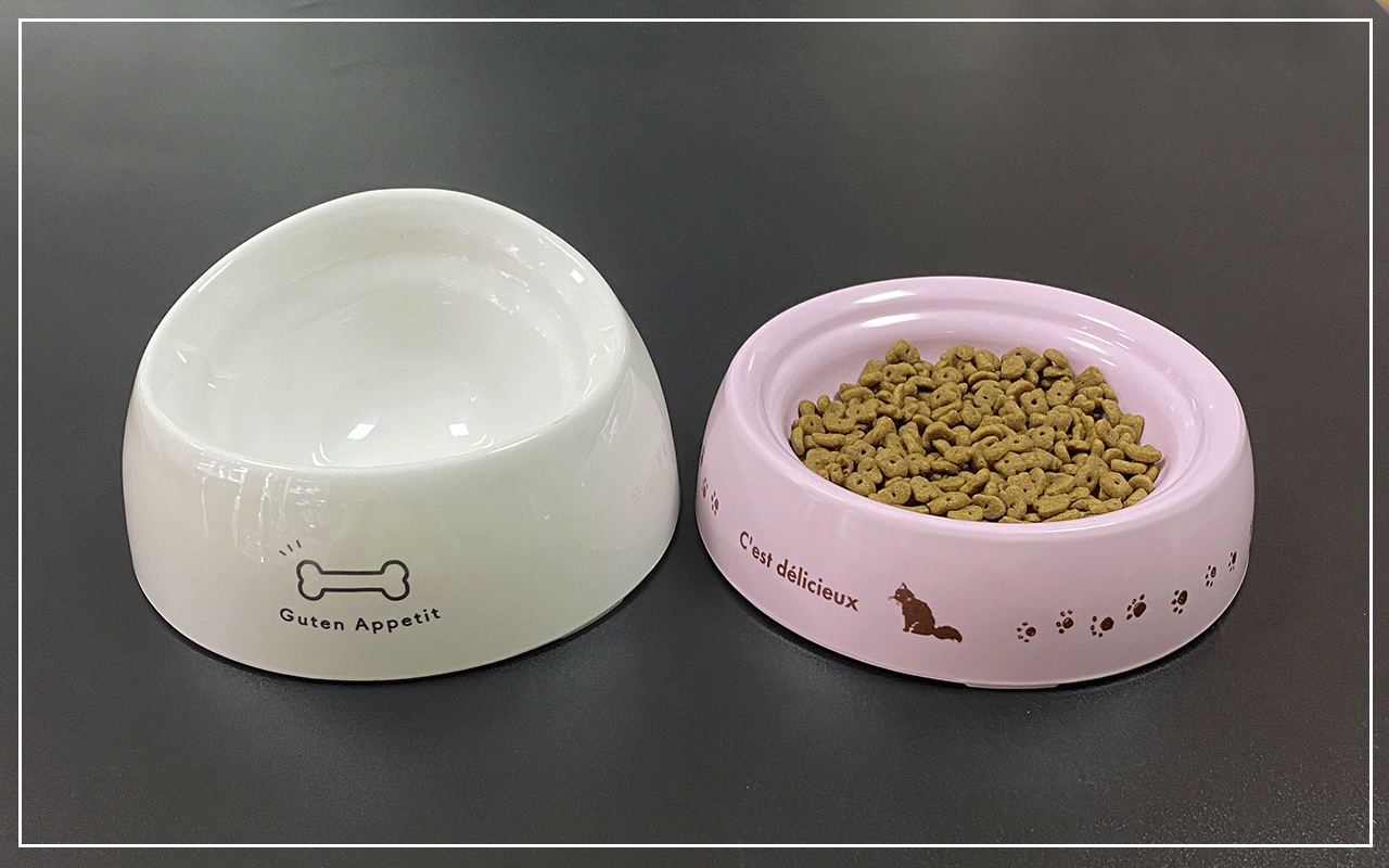 乐动注册宠物碗