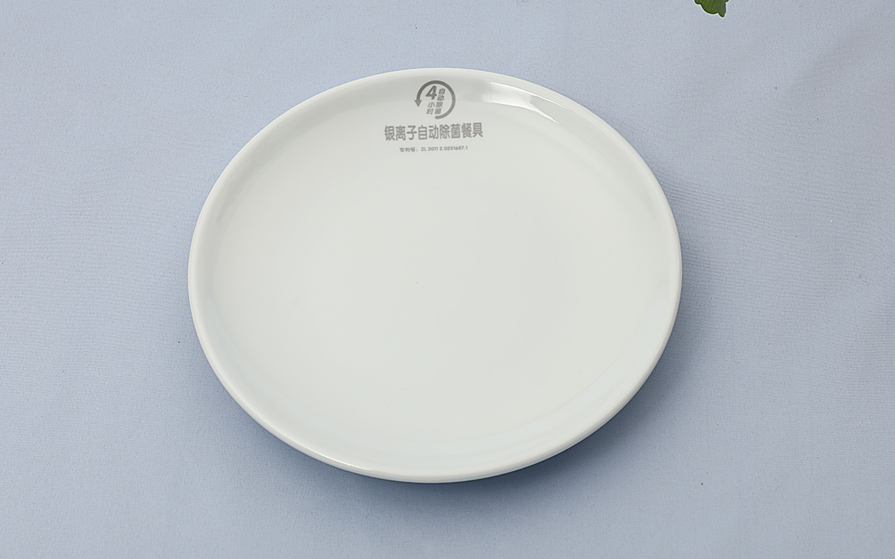 时尚火锅餐具-银离子圆碟